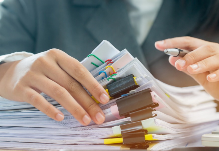 WhatsApp Image 2026 02 03 at 15.08.37